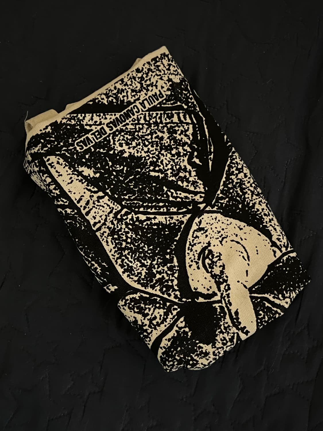 파울라 카노바스 델바스 디아블로 플랫폼 퍼 발레리나 상품이미지4