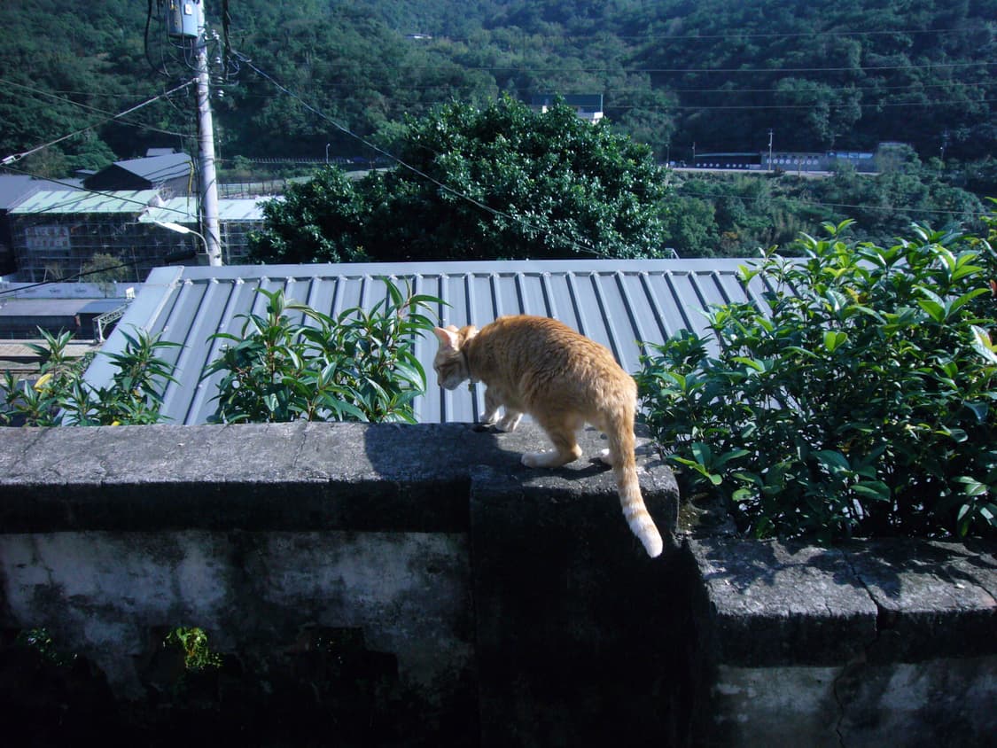 파나소닉 루믹스 dmc-fx01 핑크색상 상품이미지10