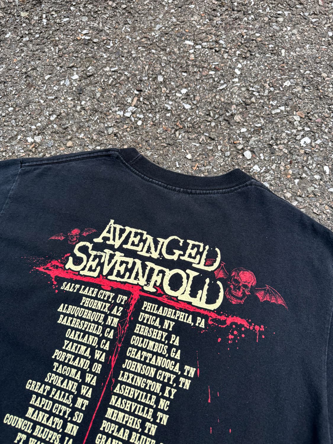 Avenged Sevenfold – Death Will Rise Agai 상품이미지8