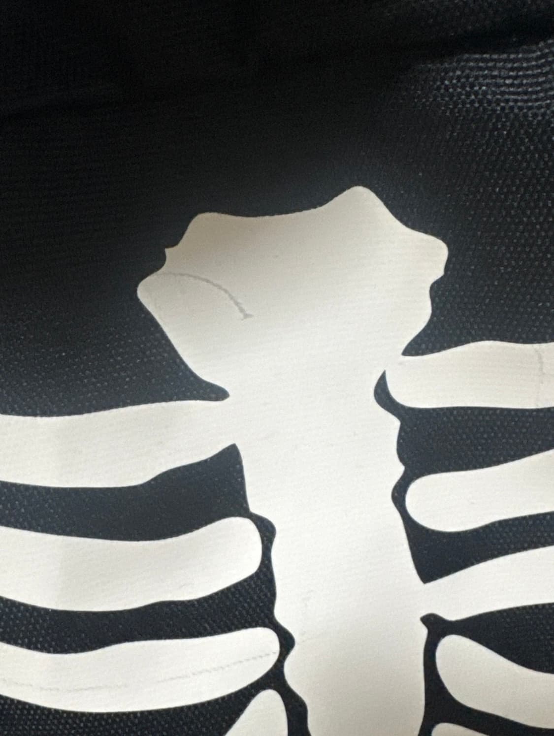 반스 스켈레톤 백팩 상품이미지4