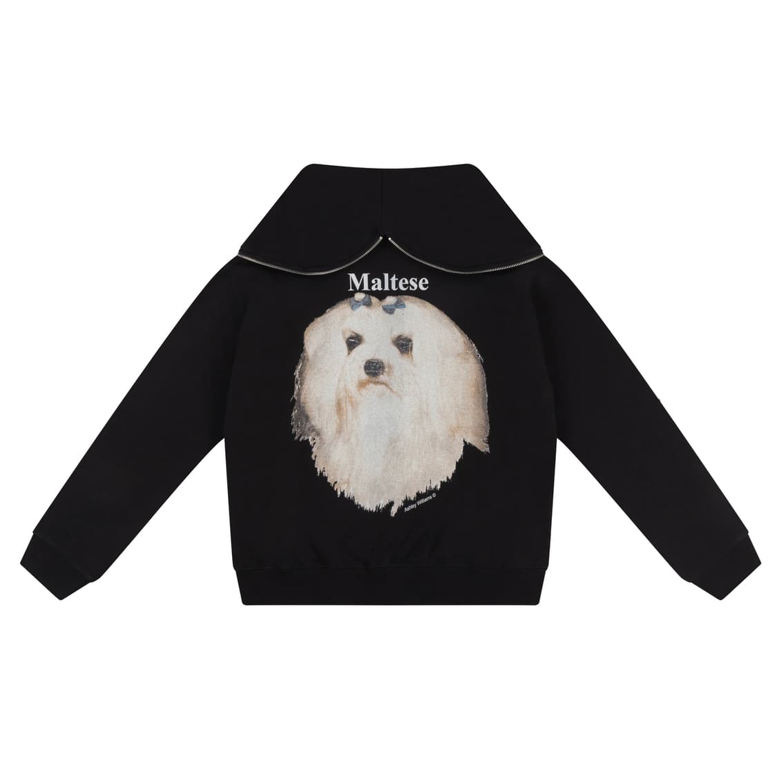 [S,M,L]애슐리 윌리엄스 25fw MALTESE 버터플라이 후드집업 상품이미지6