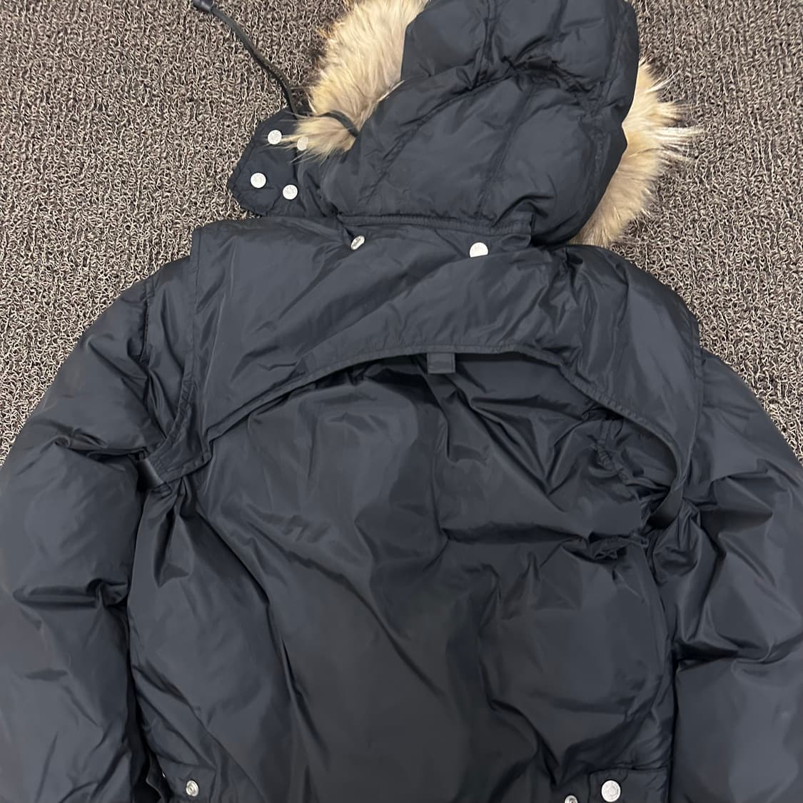 디스퀘어드2 라쿤털 여성 크롭 숏패딩 블랙 M 상품이미지5