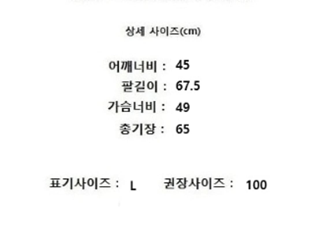 POLO by Ralph Lauren 폴로 랄프로렌 상품이미지9