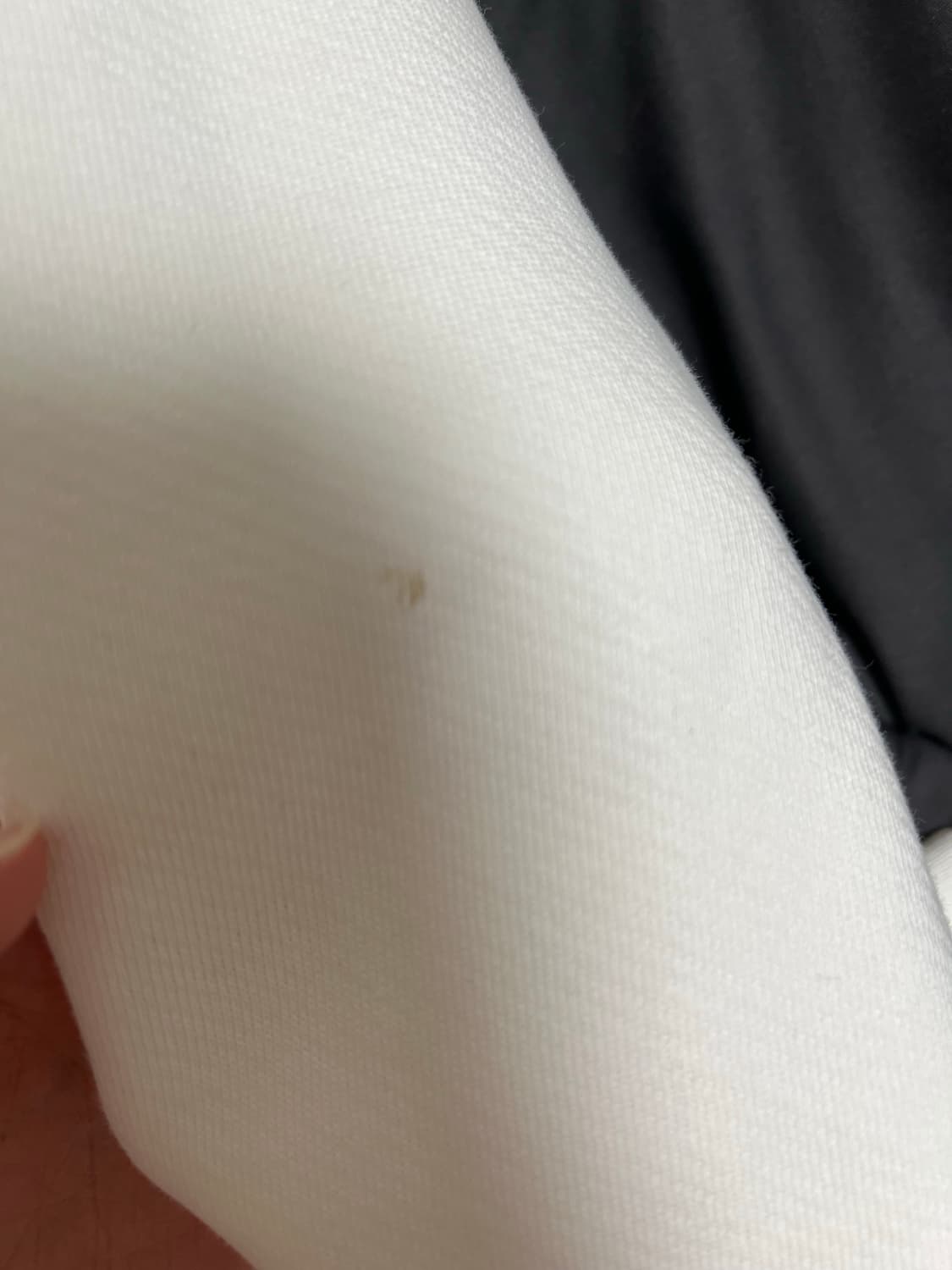 몽클레르 로고 스웨트셔츠 화이트 22FW 상품이미지6