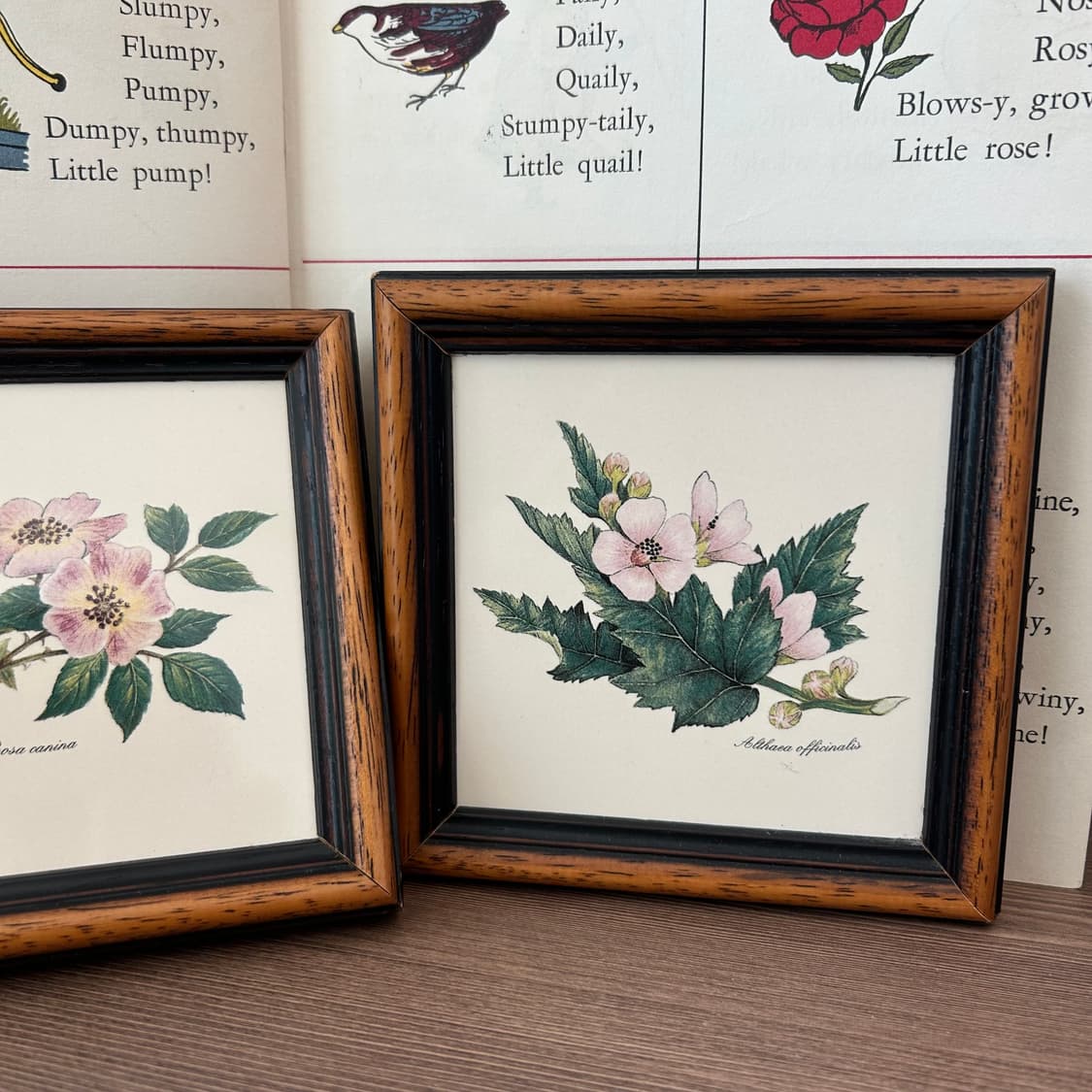 빈티지 보태니컬 꽃 액자 세트  상품이미지3