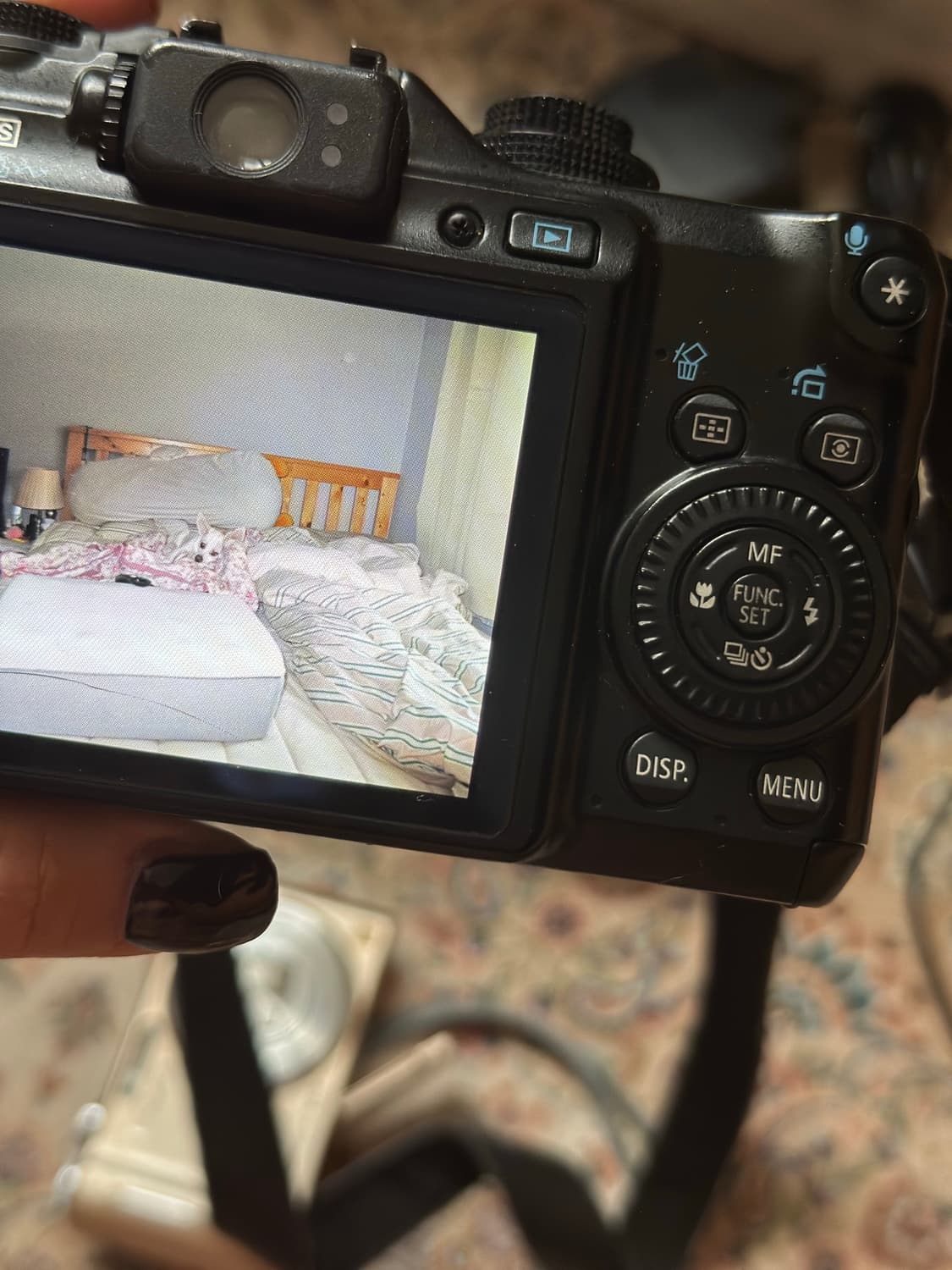 캐논 PowerShot G10 디지털 카메라 상품이미지6