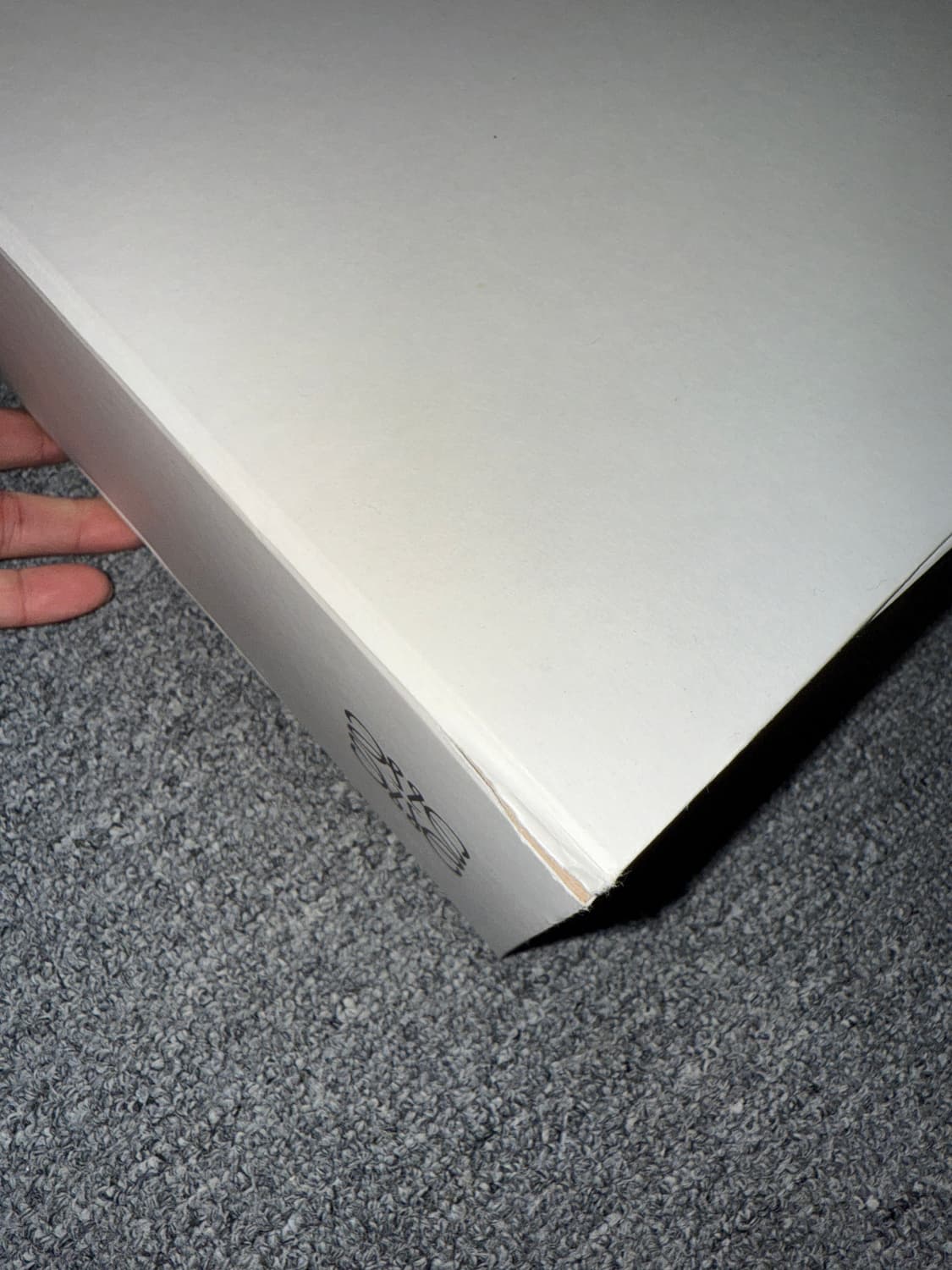 [40] 로에베 웨지 레이스업 블랙 상품이미지10