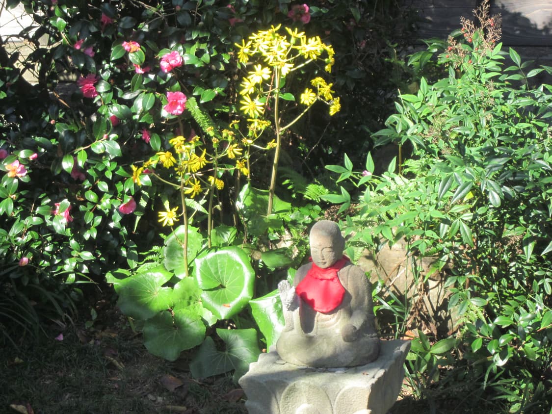 Canon ixus 105 상품이미지6