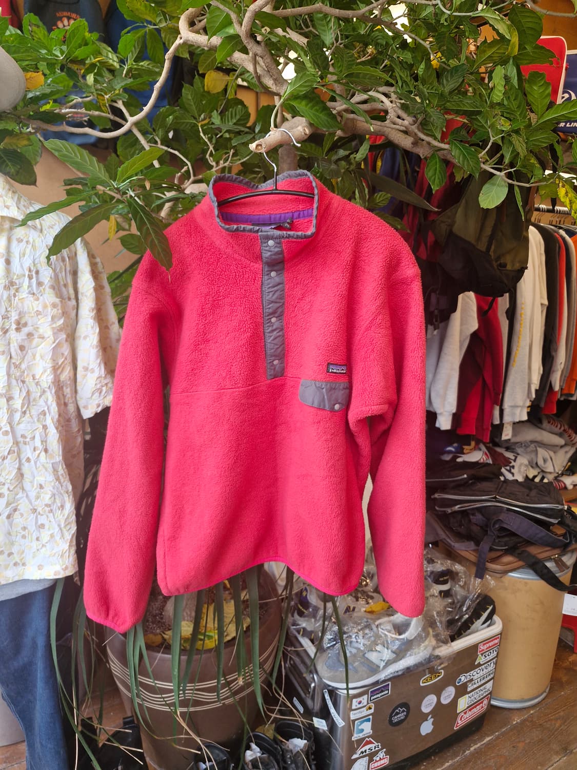 Z-288 파타고니아 신칠라 코랄 상품이미지1