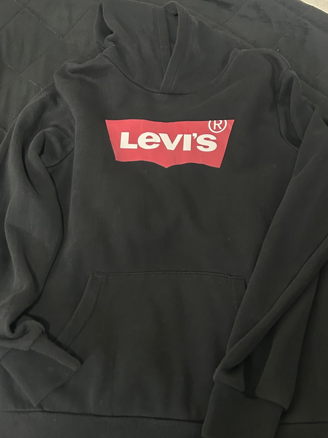 리바이스 배트윙 후드티 상품이미지2