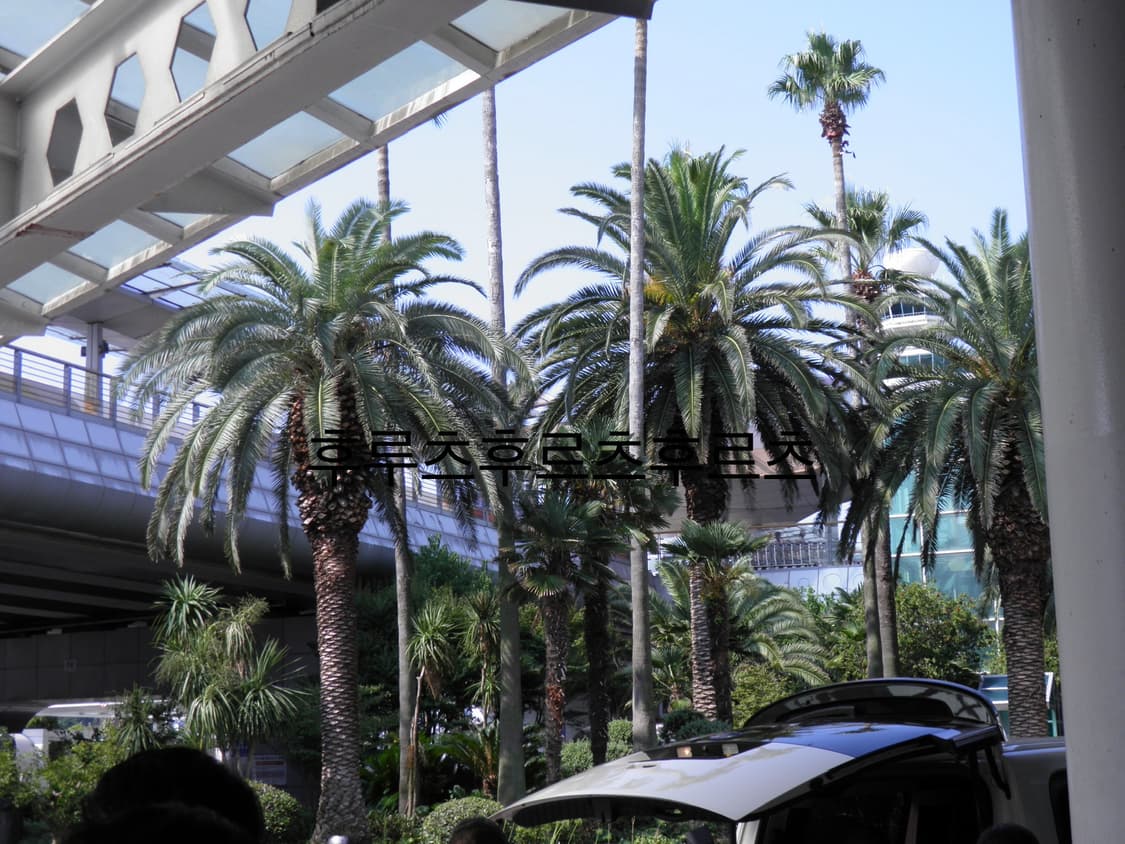 올림푸스 SP-800UZ 디지털 카메라 상품이미지7