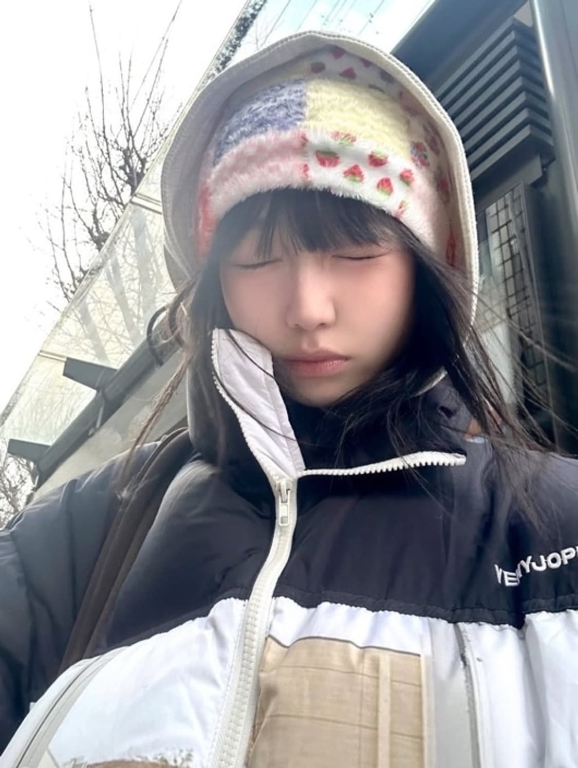 페스토 비니 상품이미지2