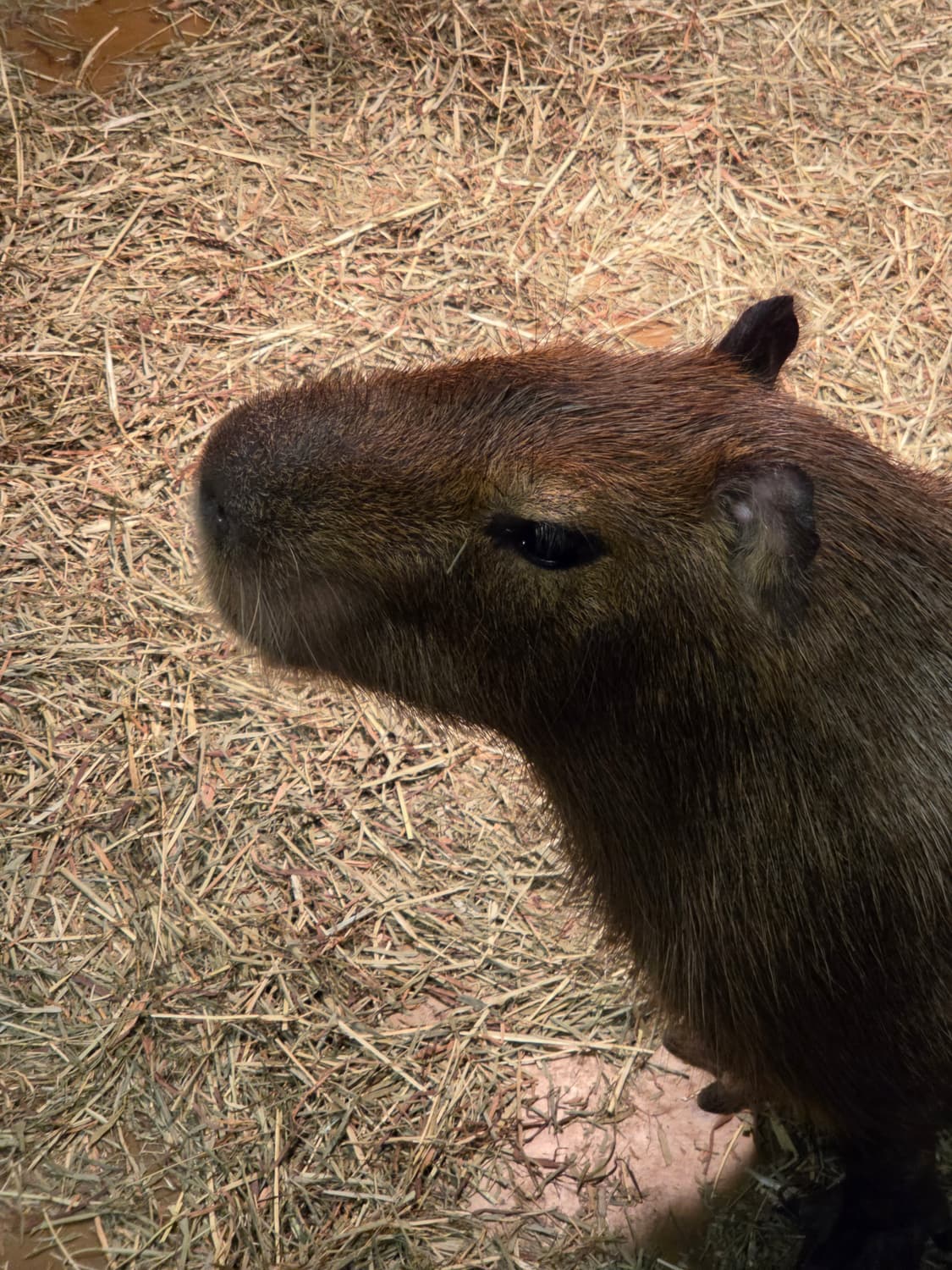 dkck6님 결재창 상품이미지1