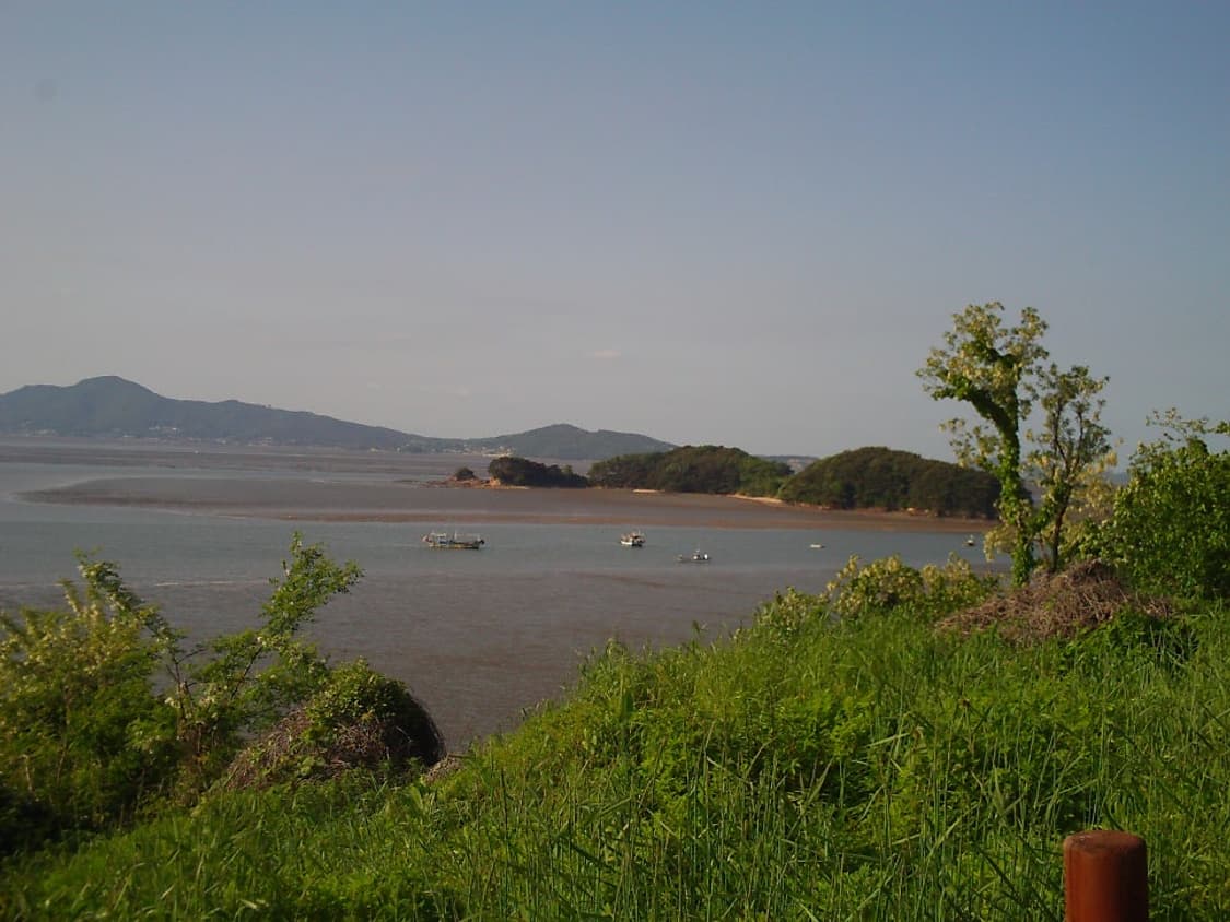 HDV007 / 폴라로이드 dvf 720 동일제품 / 빈티지 디카 작례O 상품이미지10