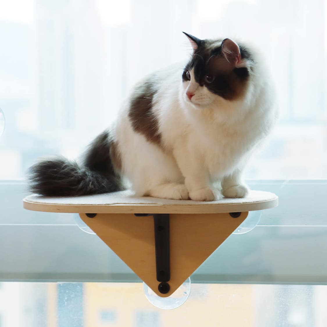 펫로지 고양이 창문 해먹 소파형 캣타워 미개봉  PetRozy Cat 상품이미지5