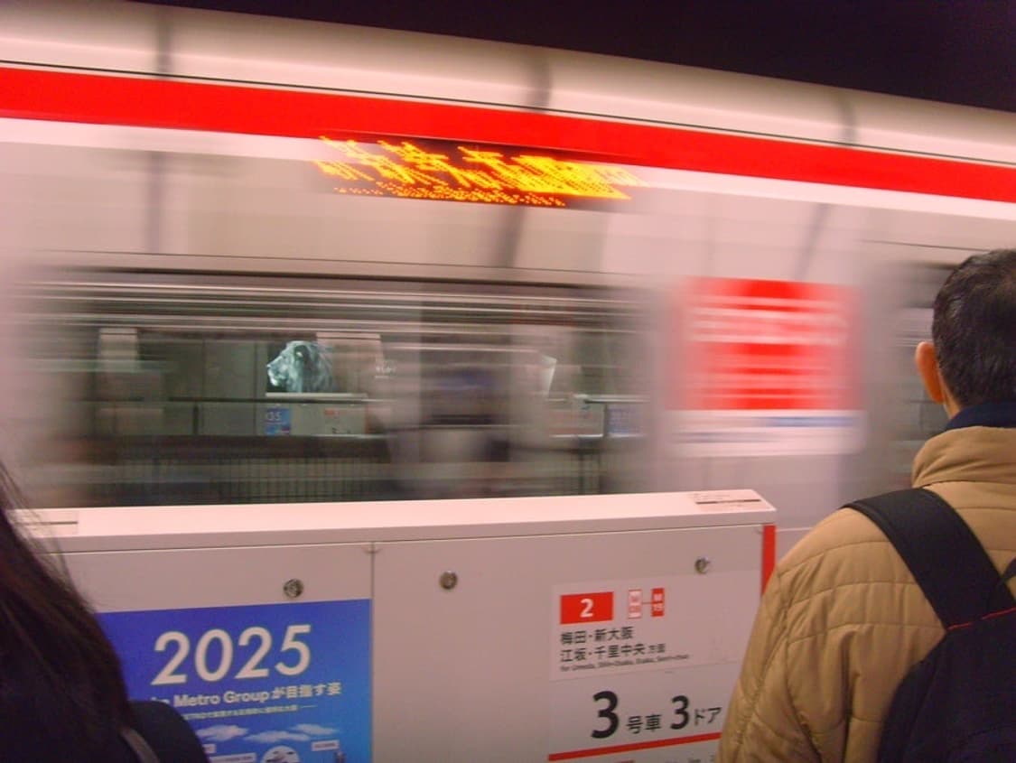 입문👍Samsung vluu nv3 디카 카메라 상품이미지3