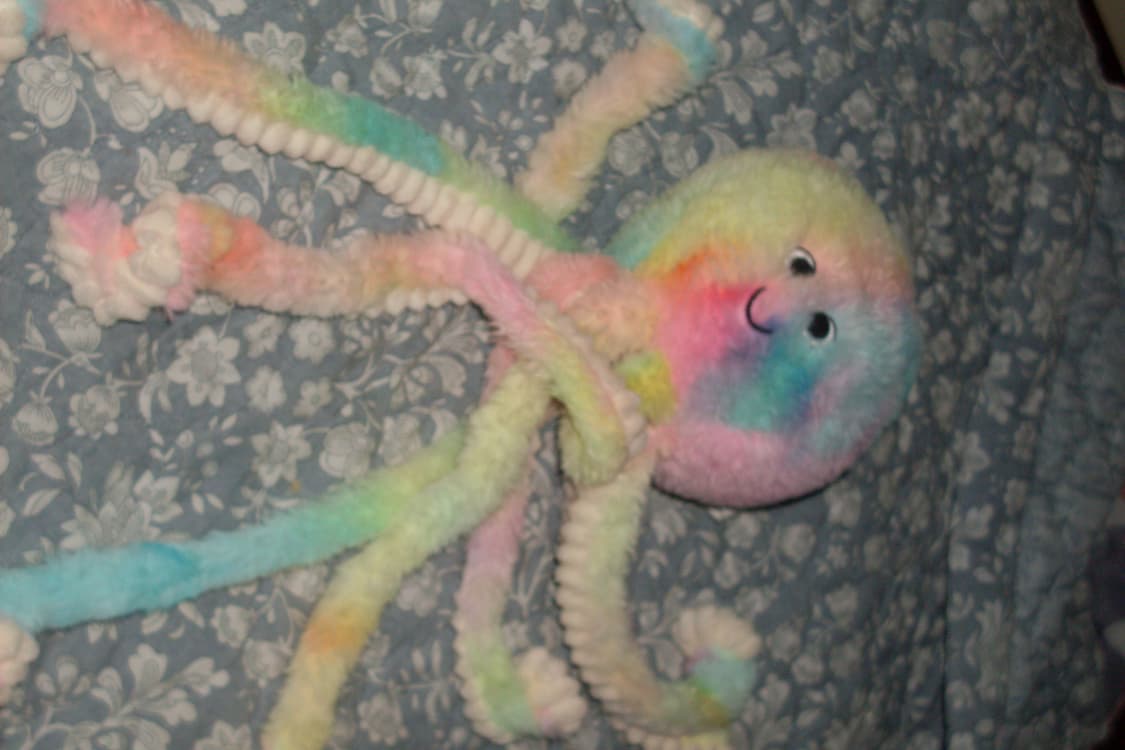 삼성 케녹스 s860(샘플사진🙆‍♂️) 빈티지 디지털 카메라 상품이미지9