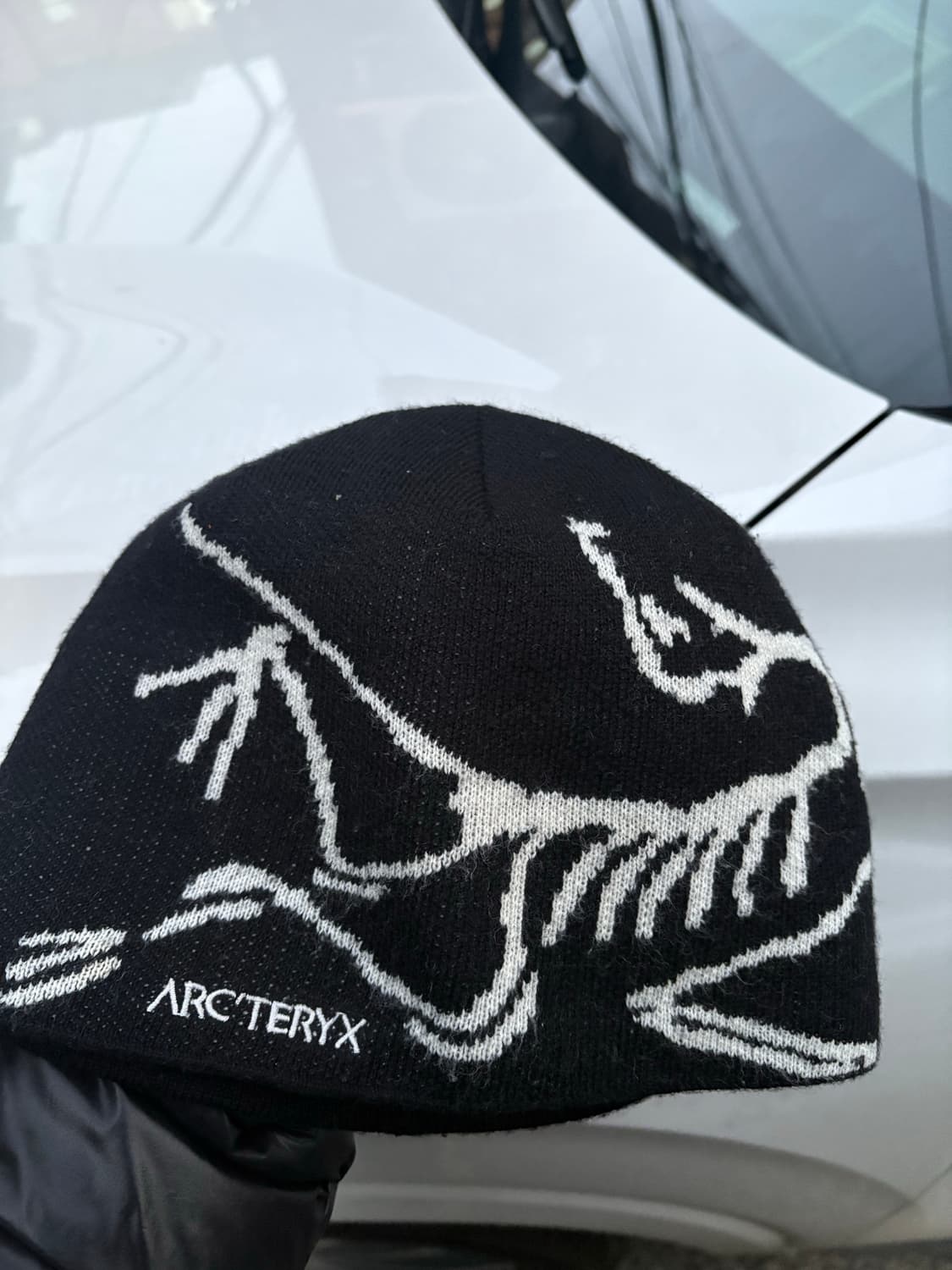 아크테릭스 비니 상품이미지1