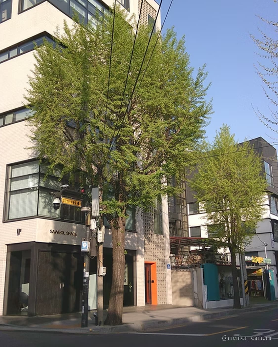 뽀용작례/희귀모델🎀YASHICA DZ-100 야시카 디카 카메라 키티 상품이미지8