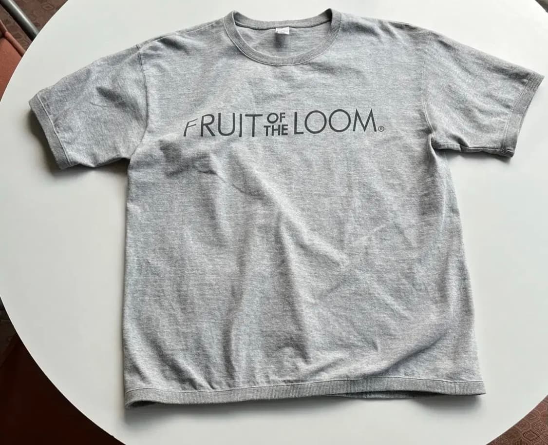 프룻오브더룸 반팔 fruit of the loom (L) 상품이미지2