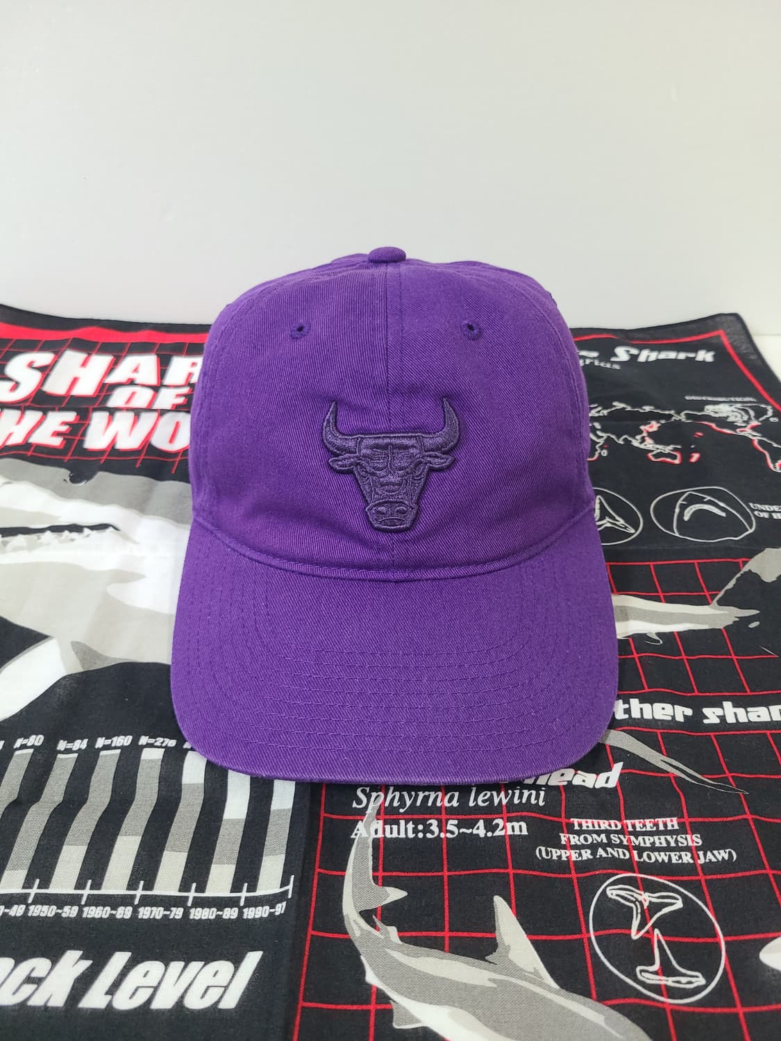 미첼앤네스 시카고 불스 빈티지 모자 캡 볼캡 상품이미지2