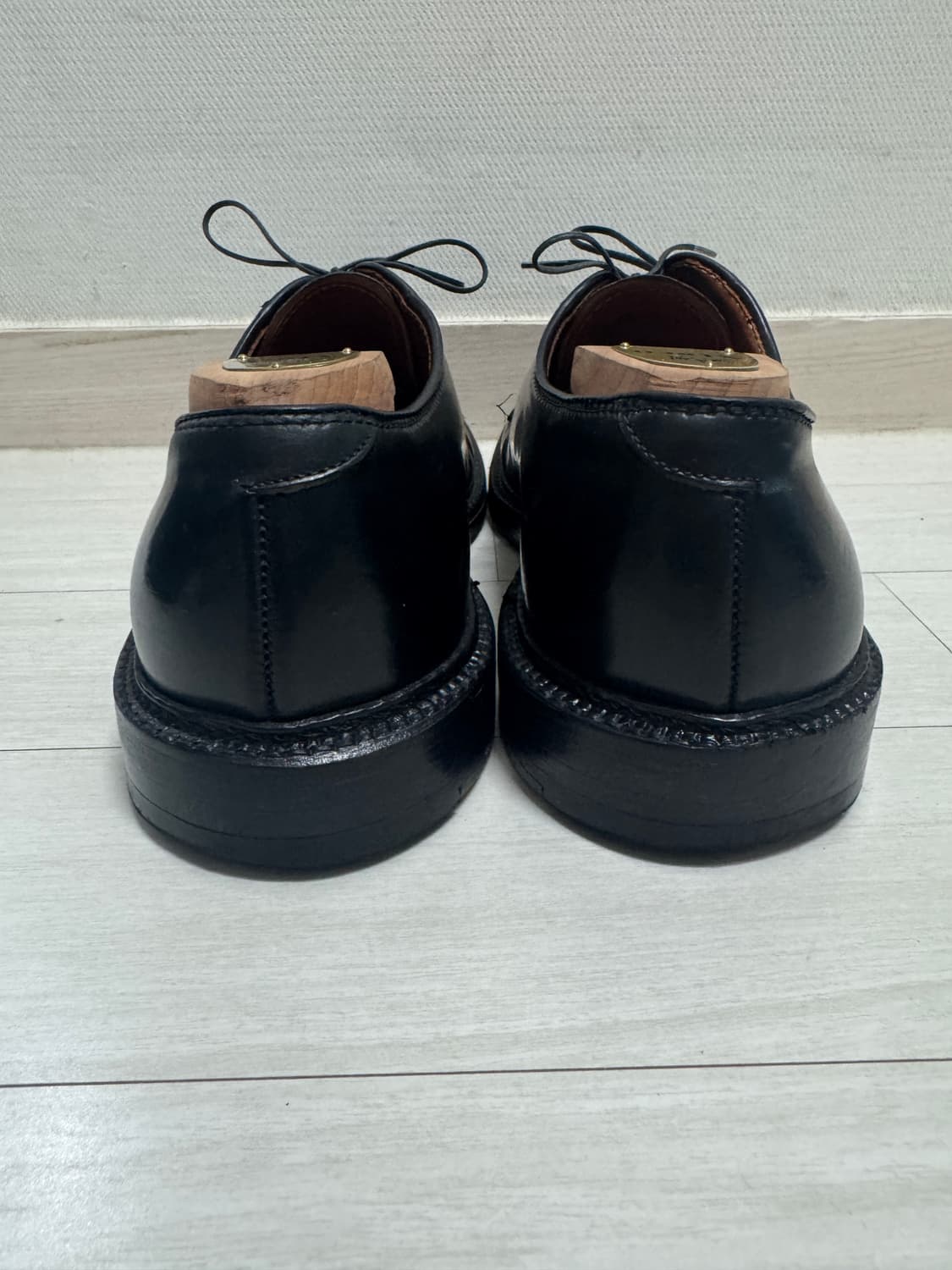 [9D] ALDEN 알든 9901 상품이미지5