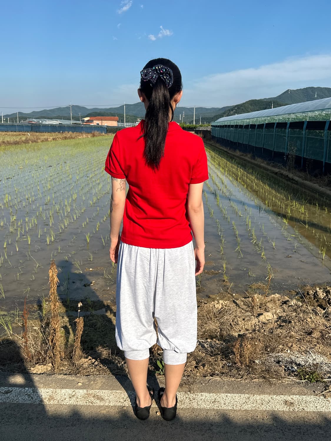 빈티지 라코스테 반팔 카라 티셔츠 상품이미지5