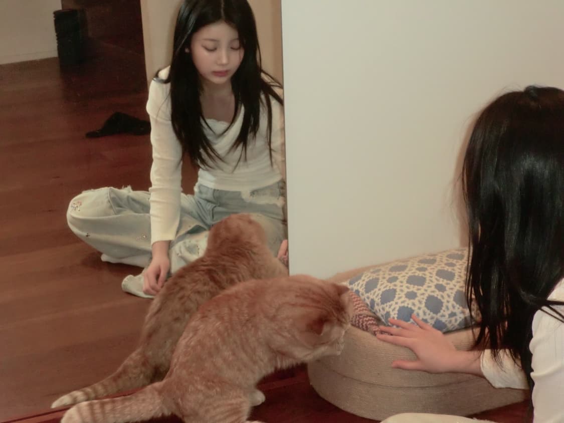 *풀박스 카시오 z2300 베이지디카  (모카,로제 디지털 카메라) 상품이미지9