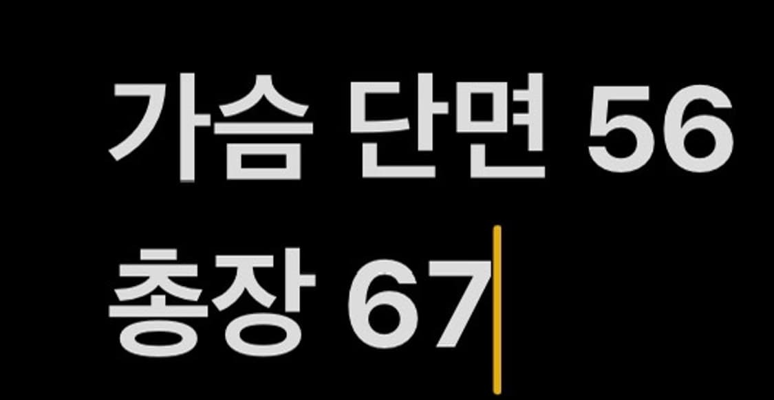 [ 정품/L,100 ] 엄브로 스컬패치 바시티 자켓 b16 상품이미지9
