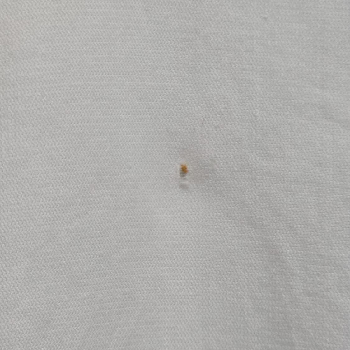 솔리드옴므(SOLID HOMME) 집업 베스트 화이트 100 상품이미지6