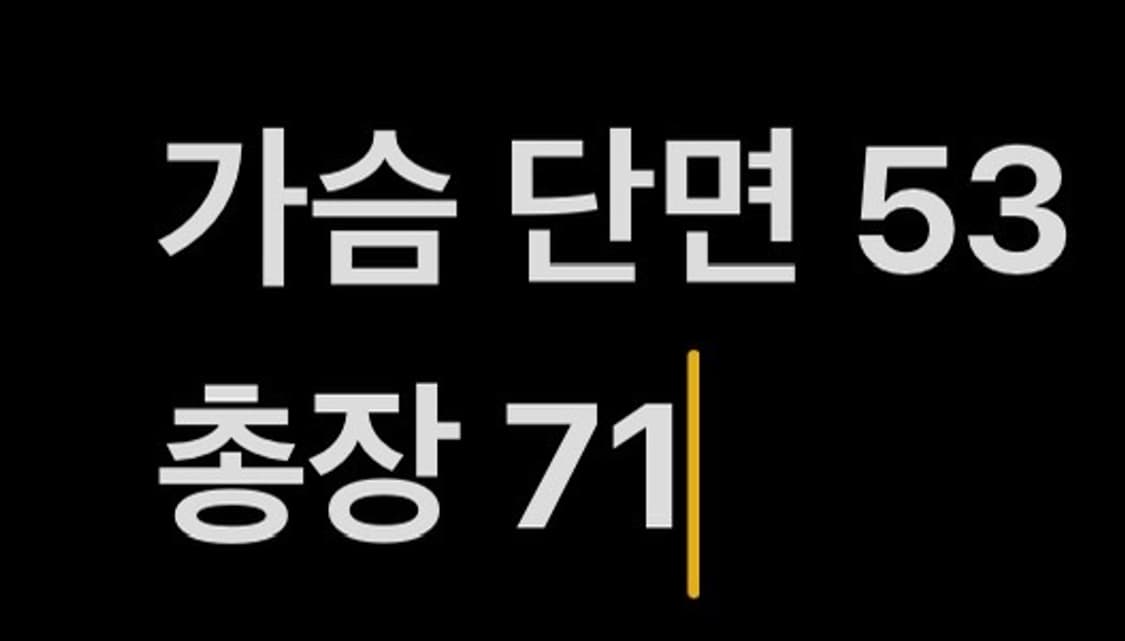 [정품/S] 아크테릭스 소프트 자켓 그레이 b10 상품이미지10