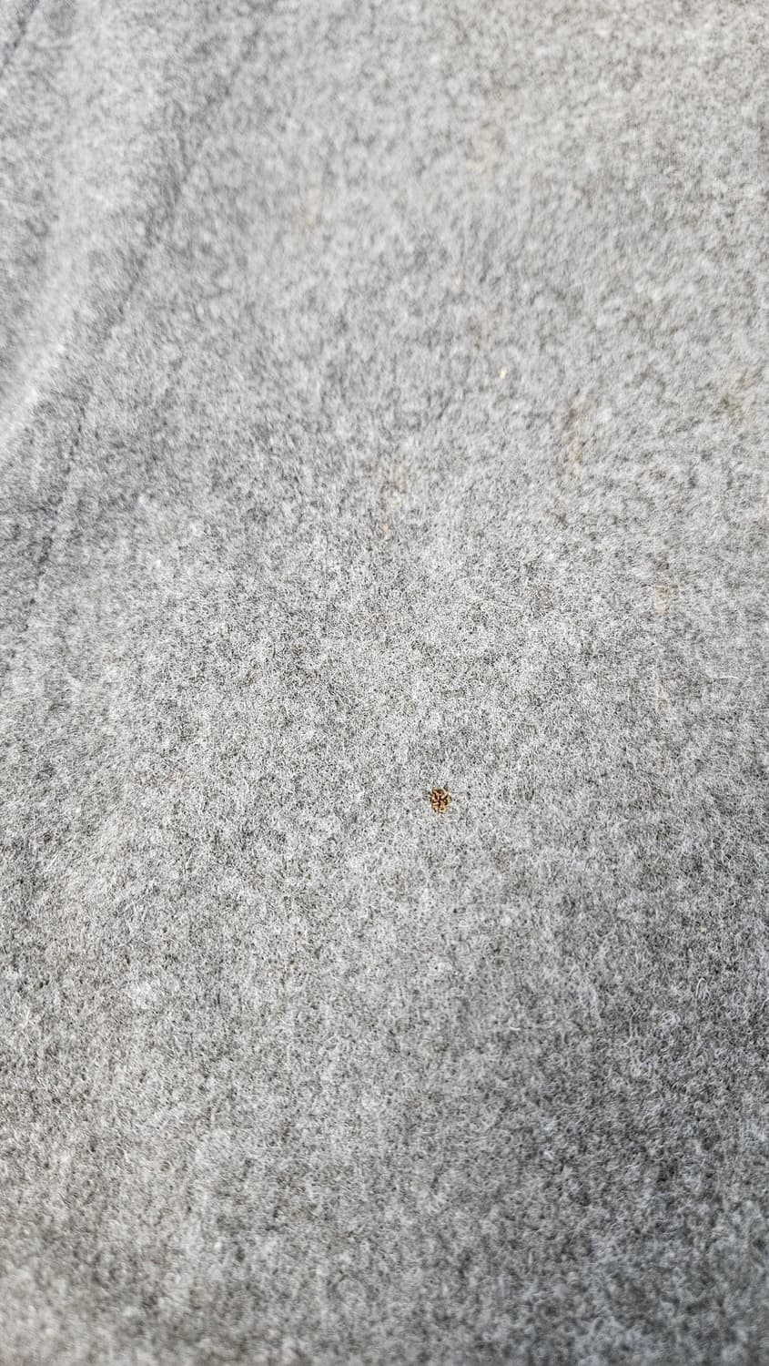 스웨덴군 군복코트 112 XL 상품이미지6