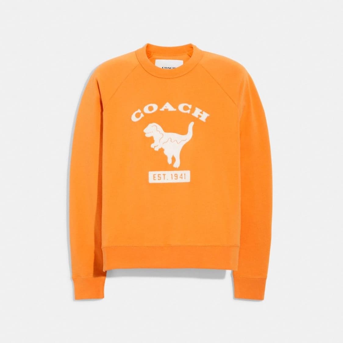 코치 남성 공룡맨투맨 L사이즈 국내매장판 상품이미지1