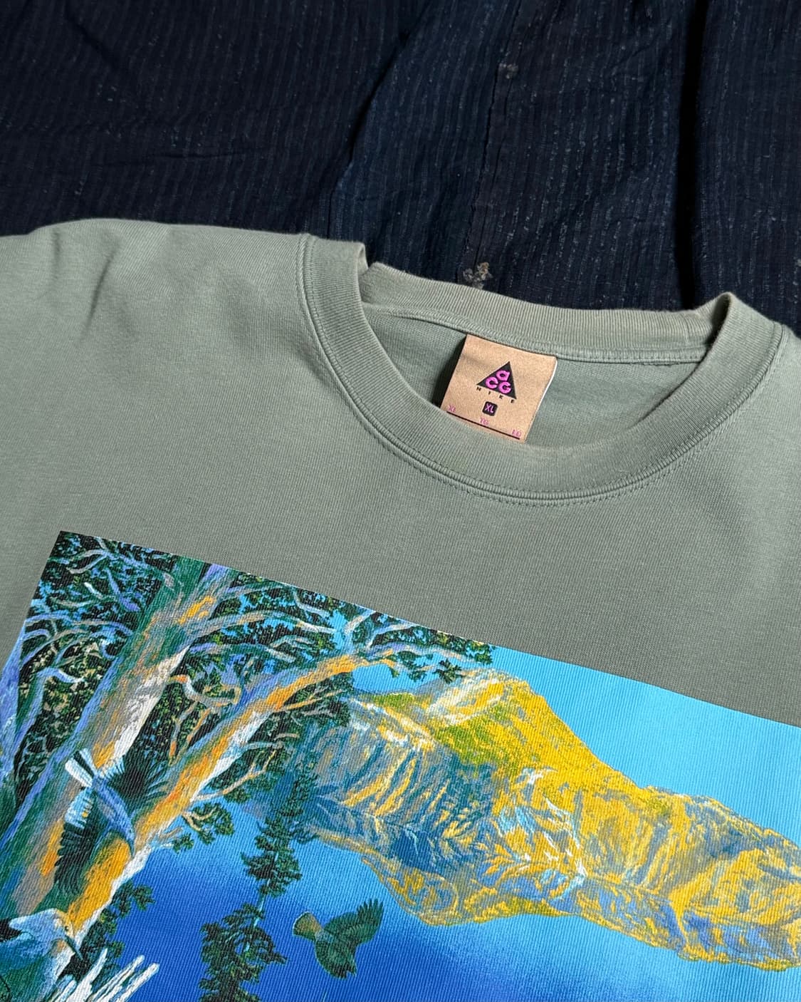 나이키 NRG ACG 숏 슬리브 크레이커 레이크 티셔츠 클래이 그린 XL 상품이미지2