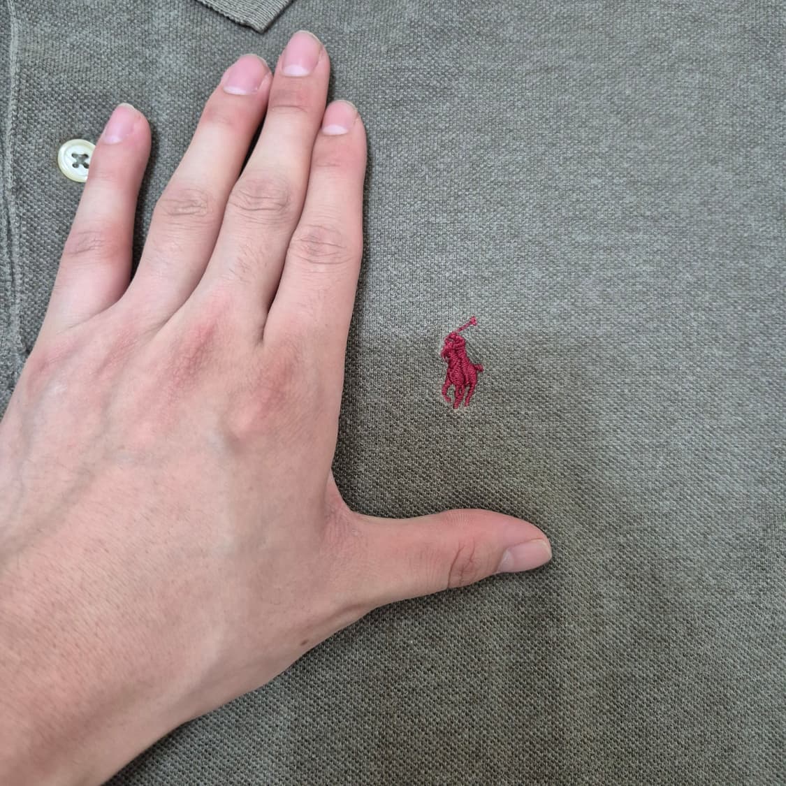 폴로 랄프로렌 스몰포니 PK 반팔 카라티 상품이미지4