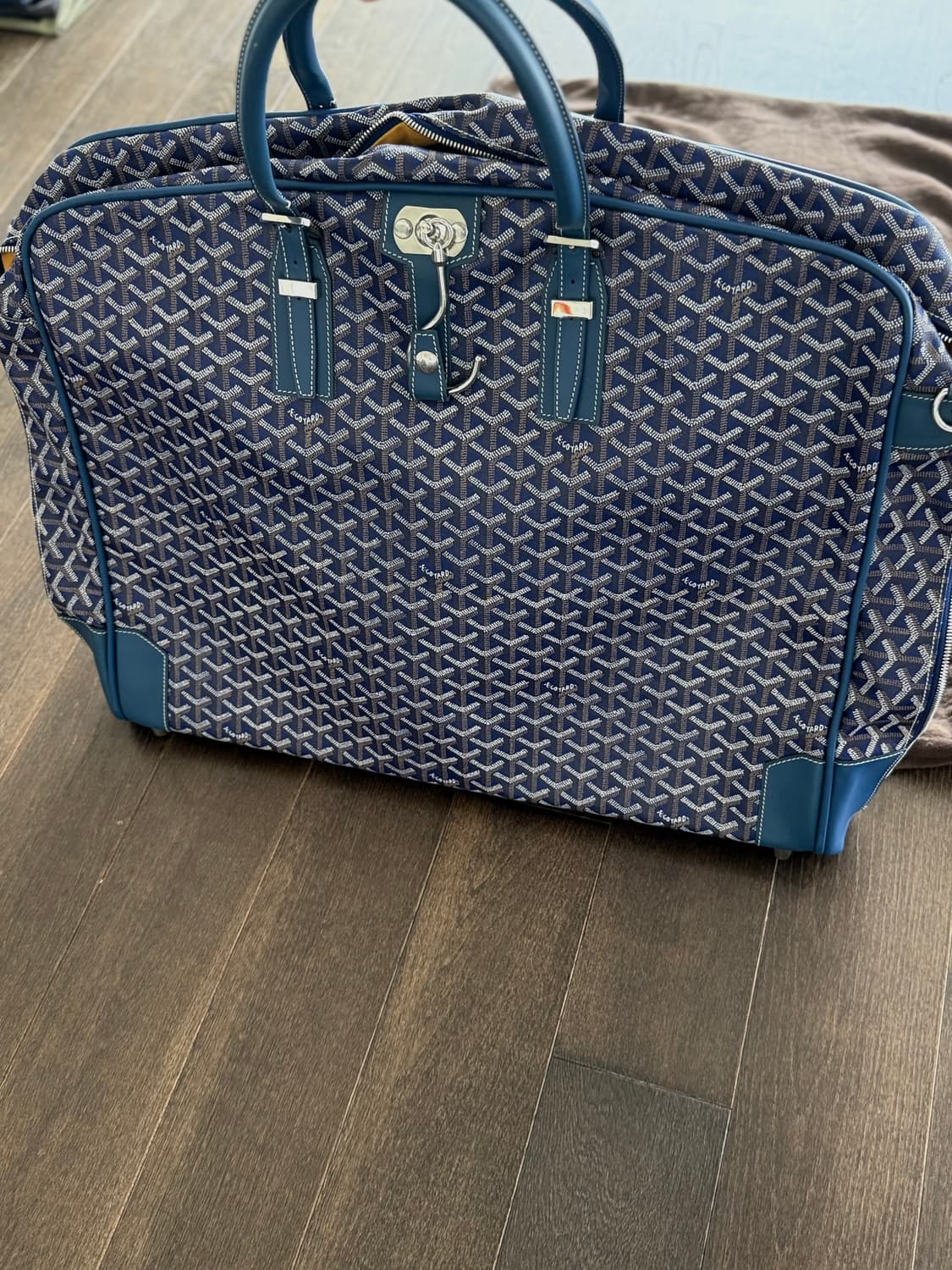 {고야드} Goyardine Porte-Habits 가먼트 백 in 🔵 상품이미지4