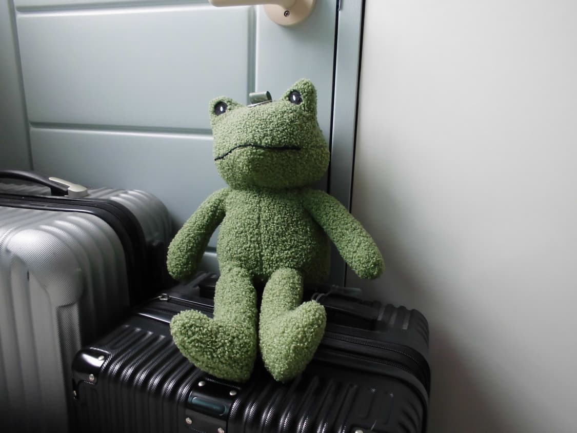 [박스셋/바로사용] 카시오 Exilim EX-Z770 ✨ 상품이미지8