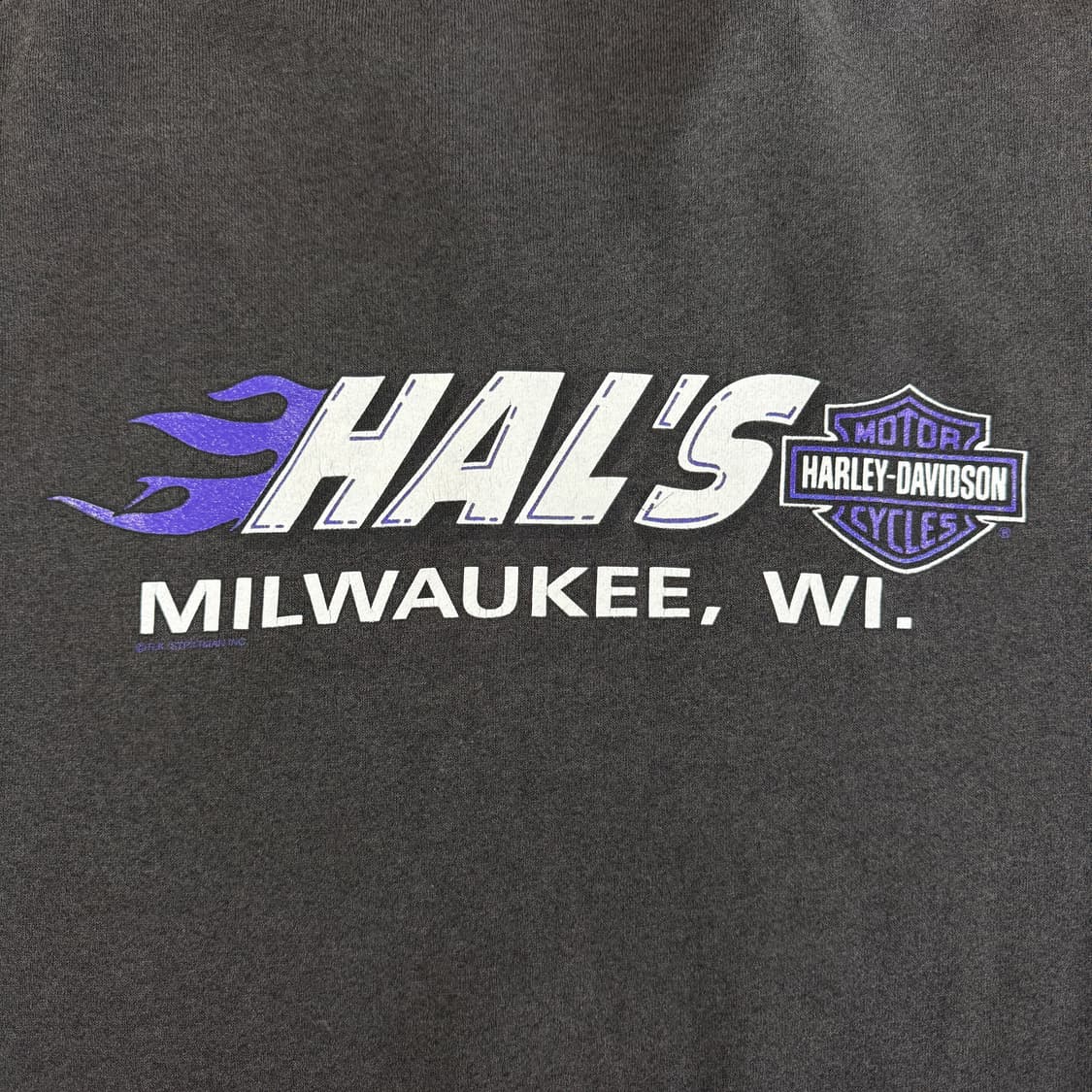빈티지 90s 할리데이비슨 라이트닝 하프집업 스웻셔츠 맨투맨 상품이미지5