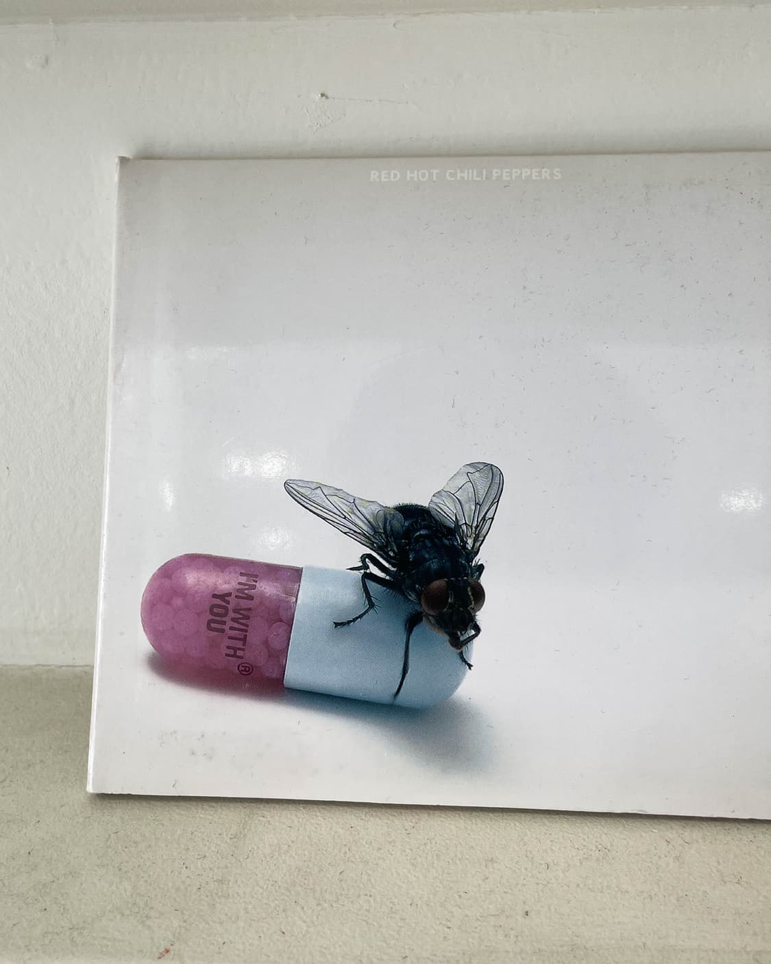 RHCP 상품이미지2