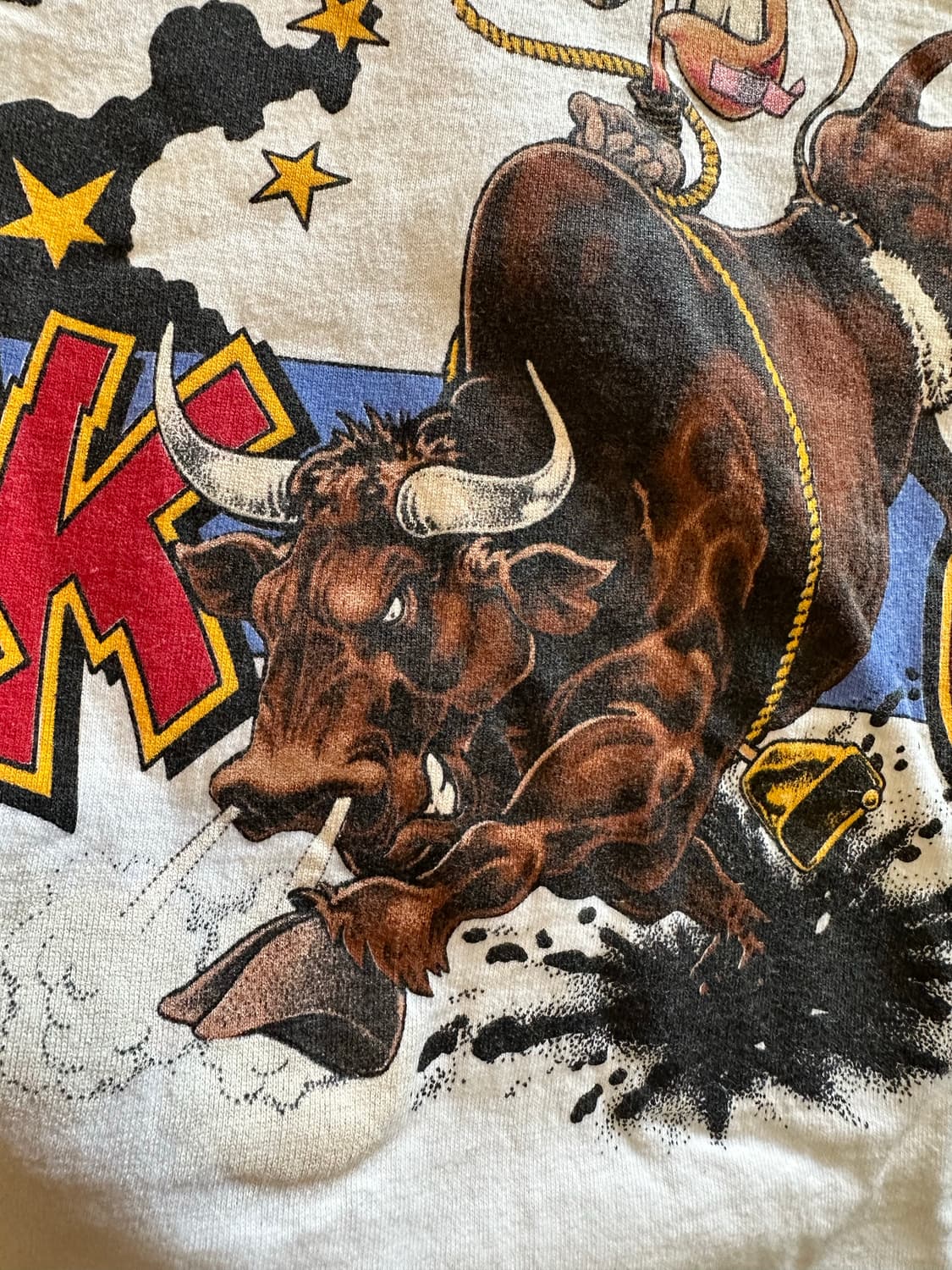 90s 프룻오브더룸 'BUCK OFF' 로데오 - XL 상품이미지4