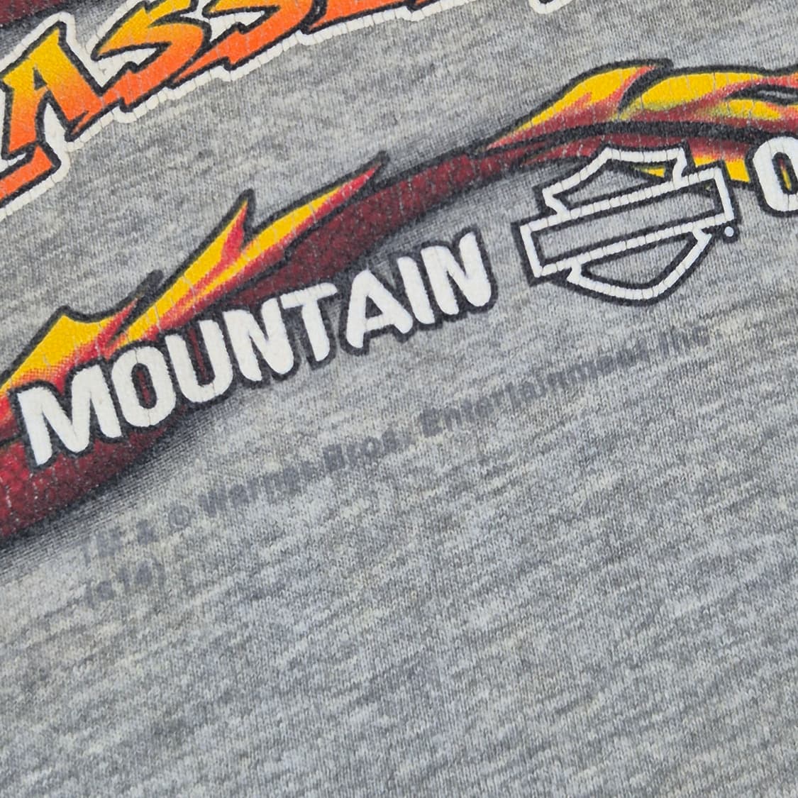 [XL]할리데이비슨 스모키 마운틴 테즈 -712 상품이미지5