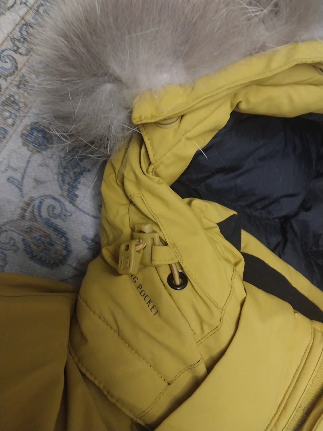 코오롱 구스다운 숏패딩 100 상품이미지2