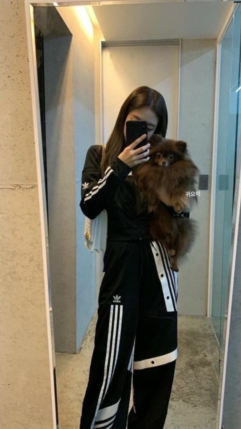 아디다스 다니엘카타리 제니 손나은 착용 삼선 배색 트랙팬츠 L 상품이미지2