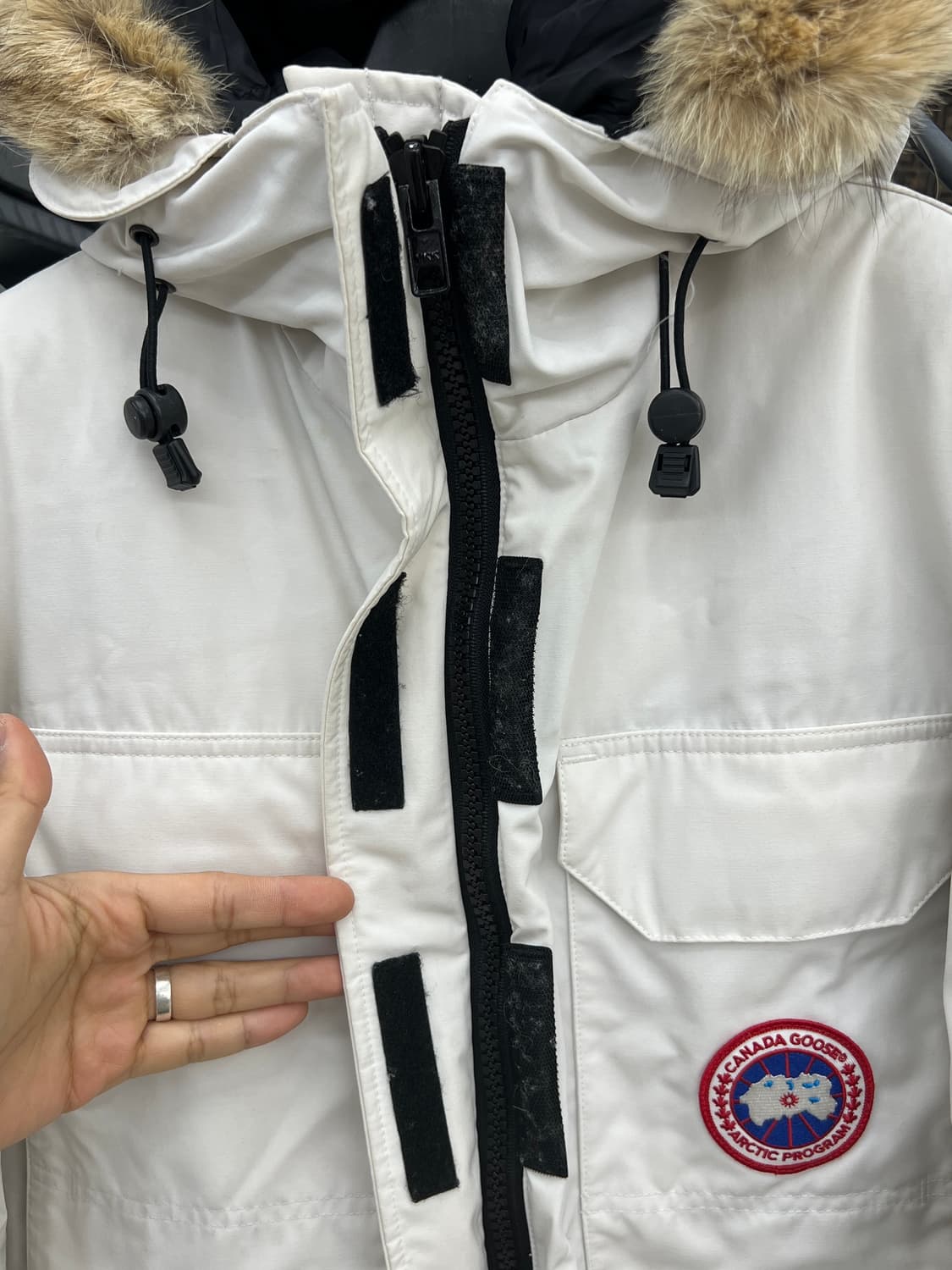 캐나다구스 익스페디션 파카 화이트 / 우먼 L 상품이미지6