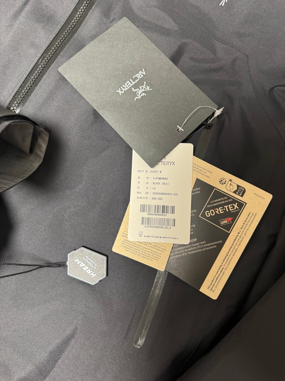 아크테릭스 고어텍스 베타 sl l 상품이미지4