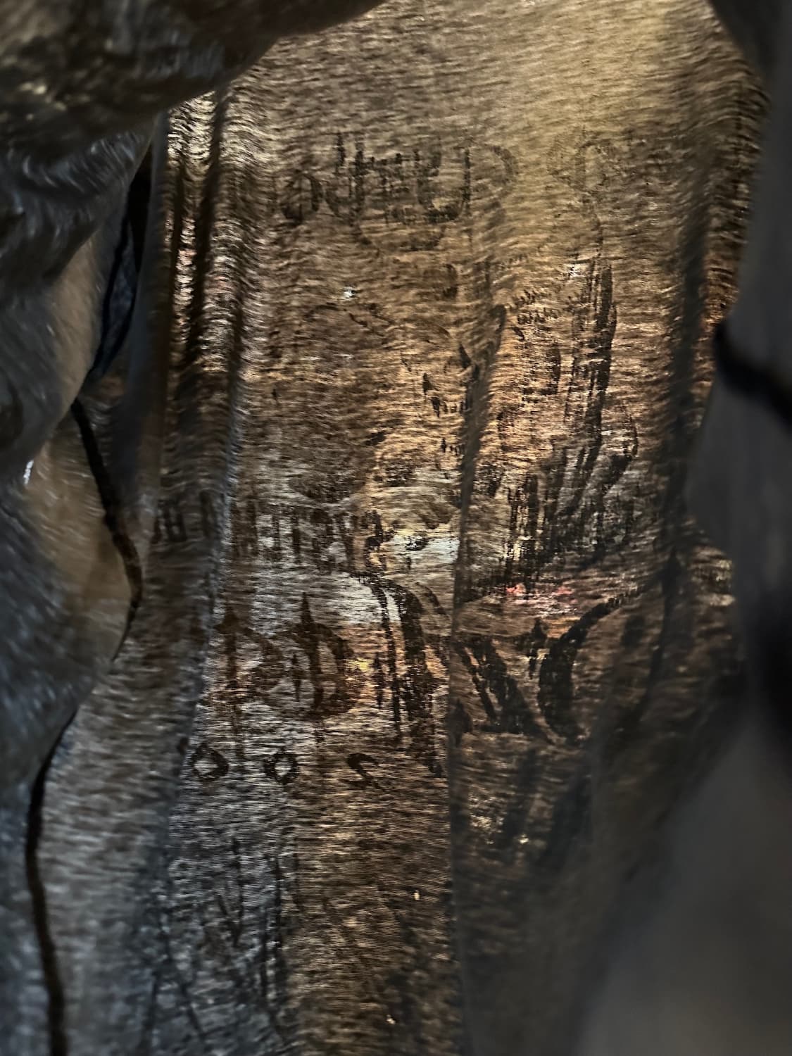 2002 Ozzfest vintage Distressed T Shirt 상품이미지10