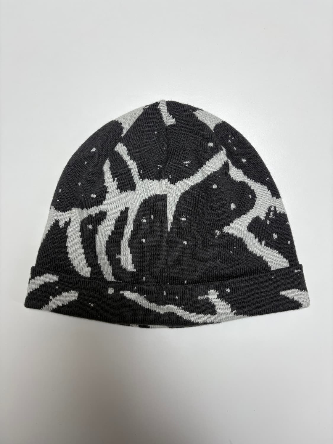 아크테릭스 비니 상품이미지2