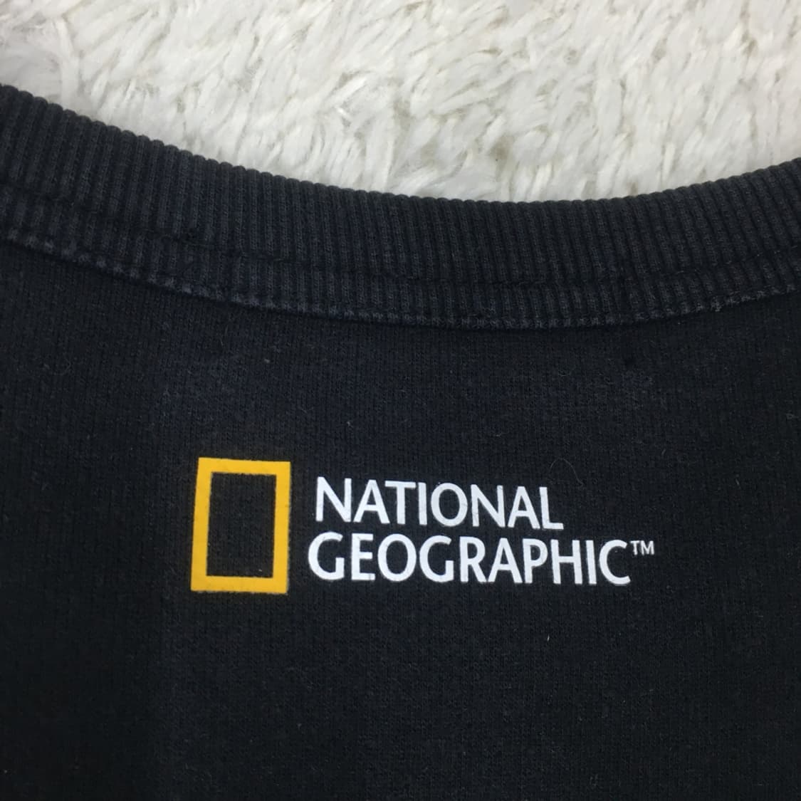 내셔널지오그래픽 빅로고 맨투맨 만원샵 DD12 상품이미지4