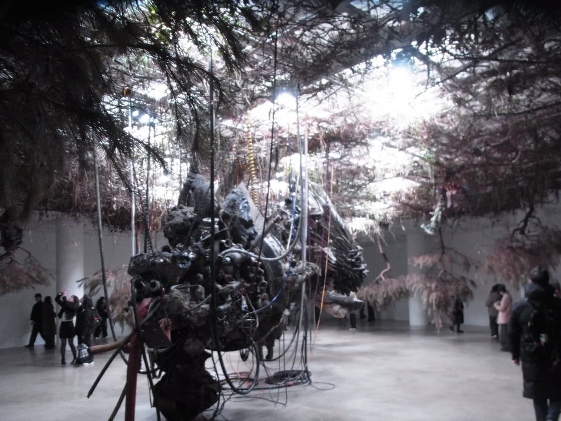 리코 cx5 (작례o) 상품이미지7