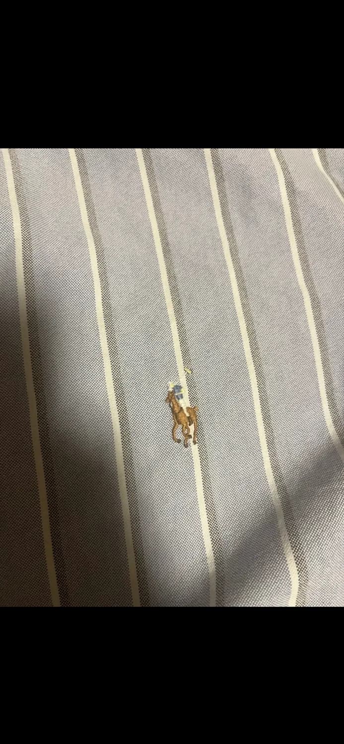 폴로 랄프로렌 셔츠 상품이미지3